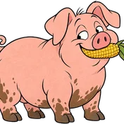 Hambone